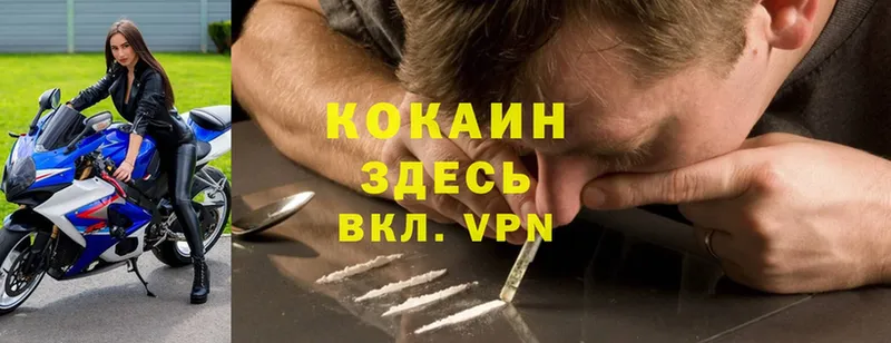 Cocaine 98%  продажа наркотиков  Александровское 